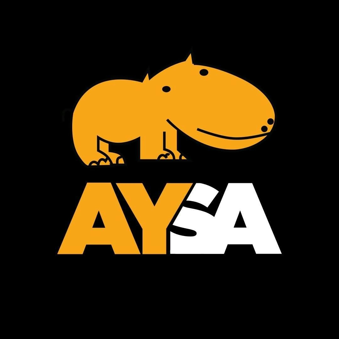 Avatar of Aysa Organizasyon